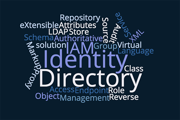 Identity-Management-Implementation-Definitions_IAM_idenhaus